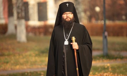 Интервью с архиепископом Егорьевским Матфеем.