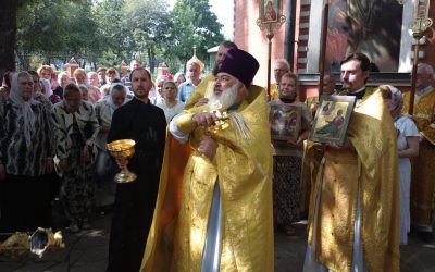 Анонс
