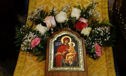 22 ноября праздник иконы Божией Матери, именуемой «Скоропослушница»