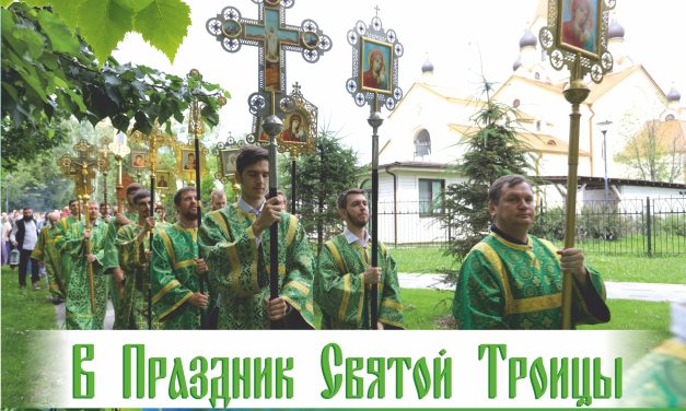 Общевикариатский Крестный ход 8 июня
