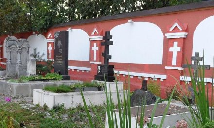 Храму требуются кустарники