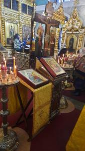 WhatsApp-Image-2025-02-09-at-16.03.11-2