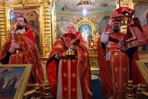 DSC00454-Копировать